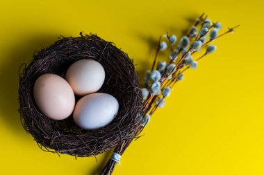 tavuk yumurtası söğüt bir dal ile bir yuvada. Mutlu Paskalya kavramı.