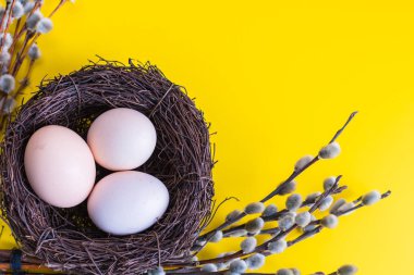 tavuk yumurtası söğüt bir dal ile bir yuvada. Mutlu Paskalya kavramı.