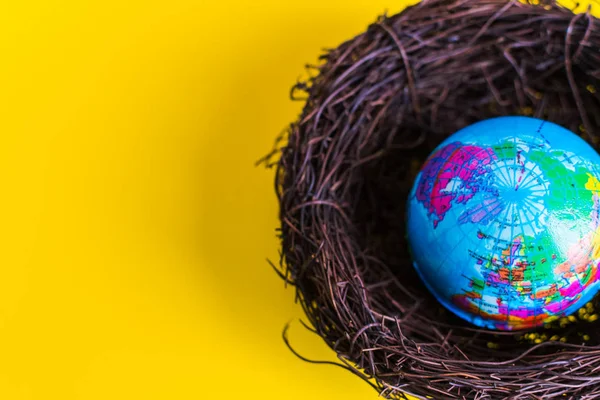 Globo Con Nido Concepto Paz Tierra — Foto de Stock