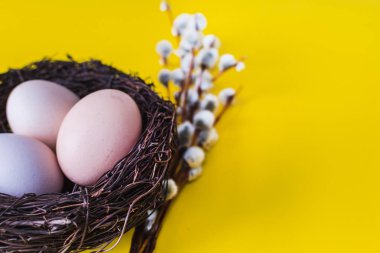 tavuk yumurtası söğüt bir dal ile bir yuvada. Mutlu Paskalya kavramı.