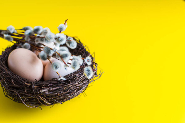 chicken eggs in a nest with a twig of willow. happy Easter concept.