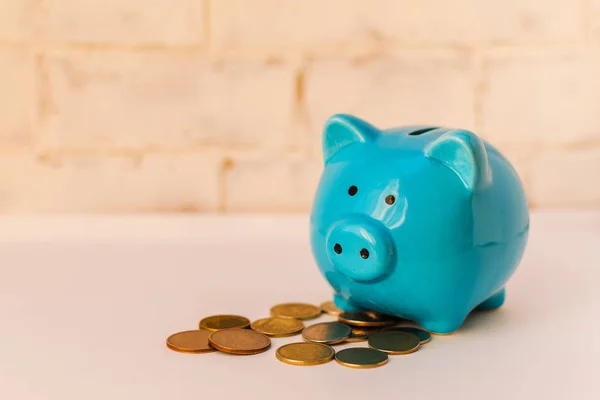 Blue Piggy Bank Coins White Background — Stock Photo, Image