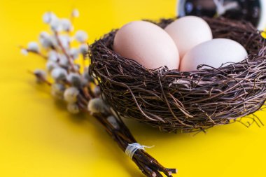 tavuk yumurtası willow dal ve sarı bir arka plan üzerinde bir çalar saat ile bir yuvada