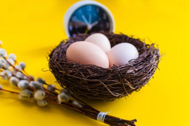 tavuk yumurtası willow dal ve sarı bir arka plan üzerinde bir çalar saat ile bir yuvada