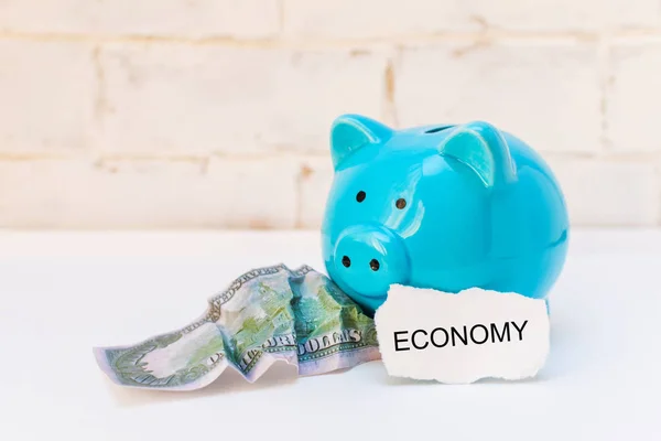 Blue Piggy Bank Crumpled Dollar Space Text White Background — Stock Photo, Image