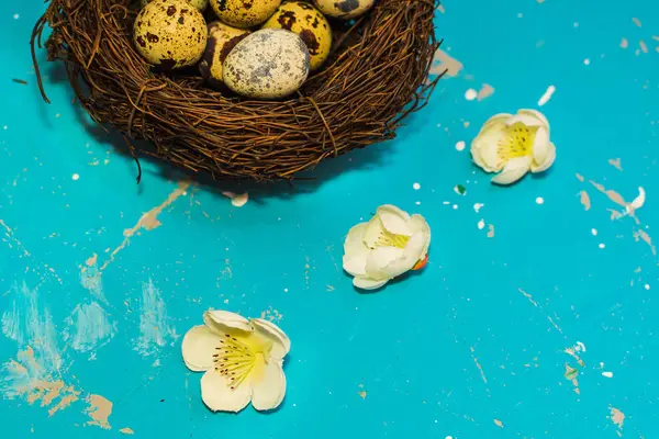 Wachteleier Nest Auf Blauem Hintergrund Frohe Ostern — Stockfoto