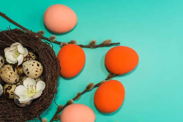 painted eggs and quail eggs in a nest with willow branches on a turquoise background. happy Easter card.