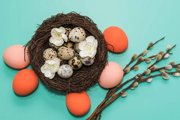 painted eggs and quail eggs in a nest with willow branches on a turquoise background. happy Easter card.