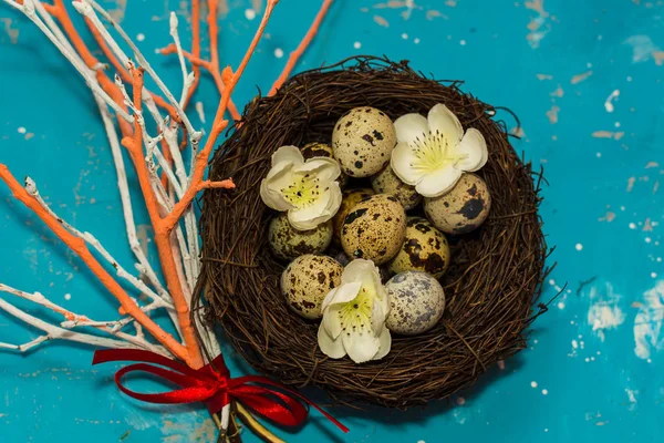 Huevos Codorniz Nido Ramas Secas Color Feliz Pascua — Foto de Stock