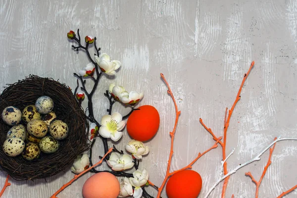 Feliz tarjeta de Pascua. huevos en un nido de huevos de colores, salvado en flor — Foto de Stock