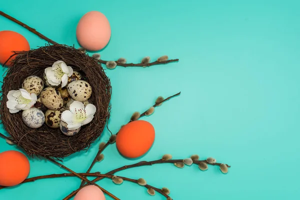 Huevos pintados y huevos de codorniz en un nido con ramas de sauce en un — Foto de Stock