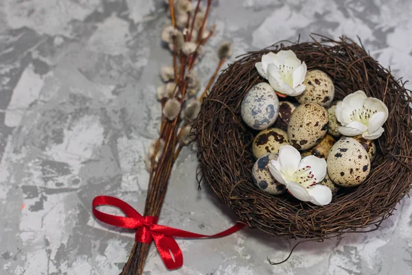 Huevos de codorniz en el nido y la rama de sauce — Foto de Stock