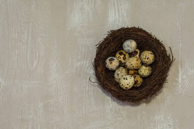 bıldırcın yumurtası yuvaya hafif ahşap zemin üzerine