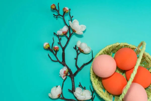 Cesta con huevos pintados y una rama floreciente en una ba turquesa — Foto de Stock