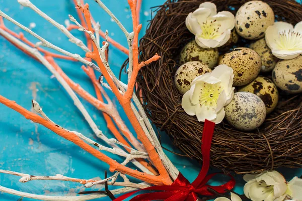 Перепелиные яйца в гнезде. цветные сухие ветви. счастливая Пасха — стоковое фото