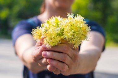 limon çiçeği elinde açık havada