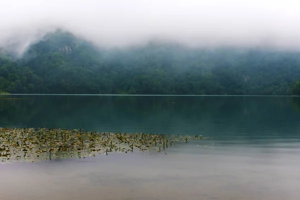 Mountain lake in the misty morning — стоковое фото