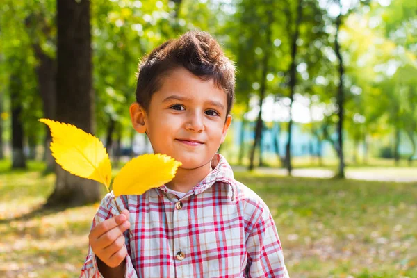 Темноволосый улыбающийся мальчик держит осенние листья — стоковое фото