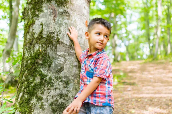 나무 근처에 서있는 숲속의 소년 — 스톡 사진