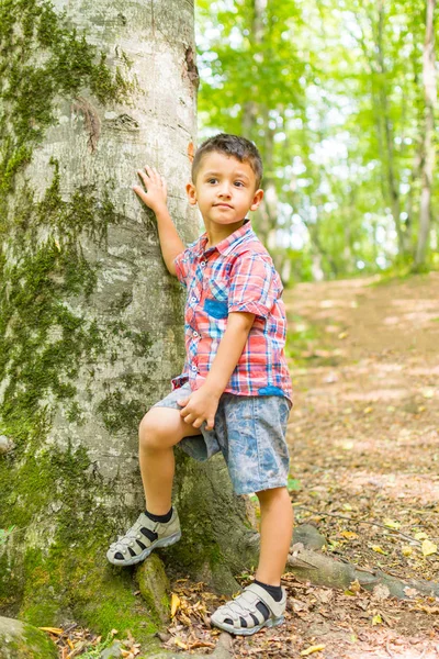 Boy in the woods standing near a tree — Stock Photo, Image