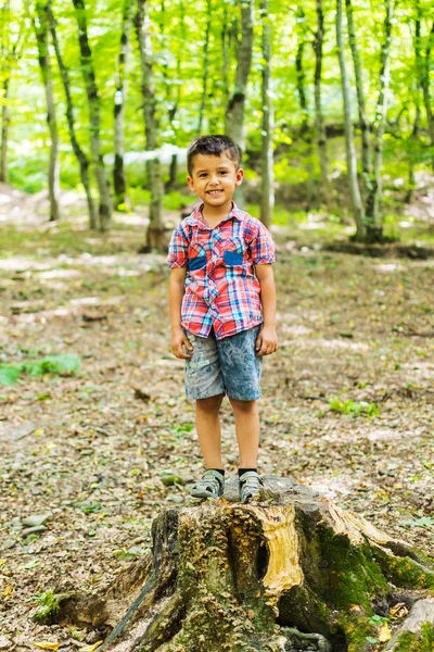 여름에 숲에서 산책하는 소년 — 스톡 사진