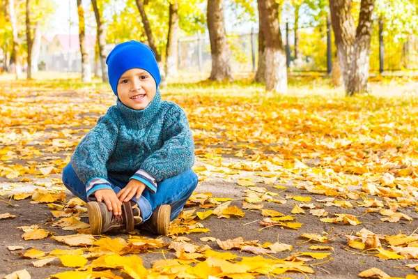 Usměvavý chlapec v klobouku a svetru, který sedí v parku v autu Royalty Free Stock Obrázky