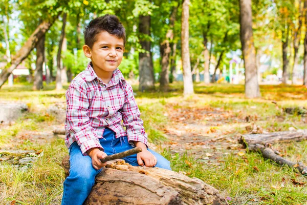 로그에 앉아 공원에서 소년 — 스톡 사진