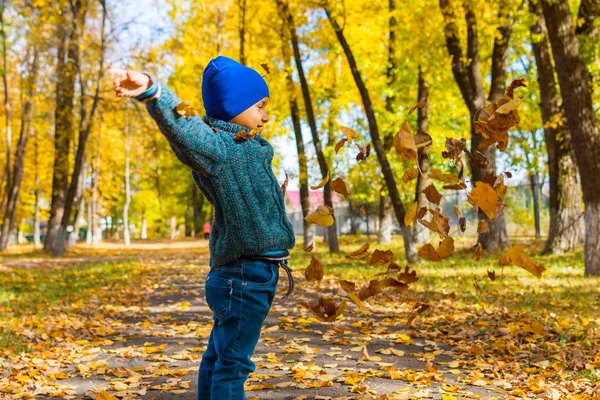 Niño lanza hojas de otoño en el parque — Foto de Stock