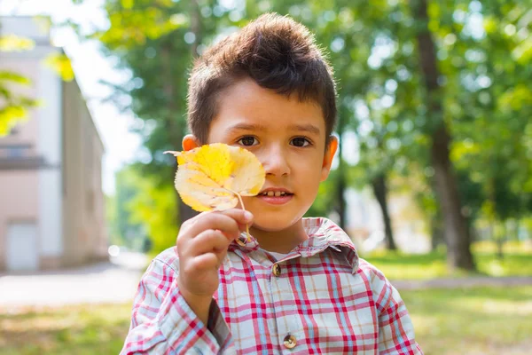 Мальчик с желтым листом лайма на открытом воздухе — стоковое фото