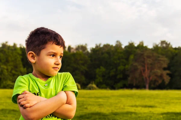 Portrait of a boy 5 years on the background of the field — Stock Photo, Image