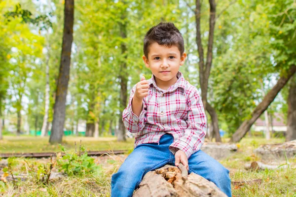 Chico en el bosque para un paseo —  Fotos de Stock