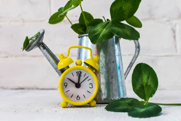 watering can, clover and yellow alarm clock on light background