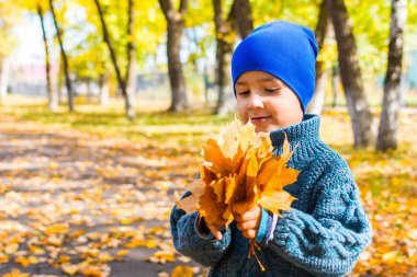 bir yürüyüşte akçaağaç yaprakları bir demet ile örme kazak çocuk