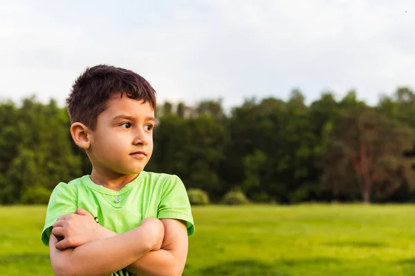 Portrait of a boy 5 years on the background of the field — Stock Photo, Image