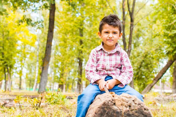 Boy in the woods for a walk — Stock Photo, Image