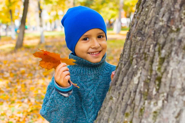 Мальчик возле дерева с кленовым листом — стоковое фото