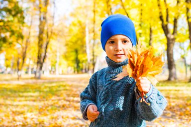 bir yürüyüşte akçaağaç yaprakları bir demet ile örme kazak çocuk