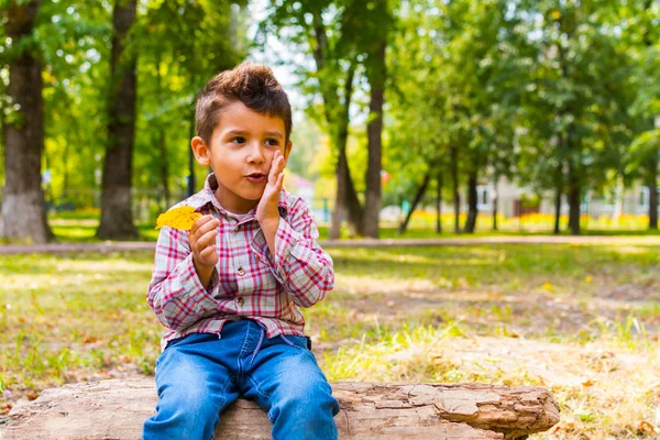 Boy with the yellow leaf sitting the Park — Stock Photo, Image