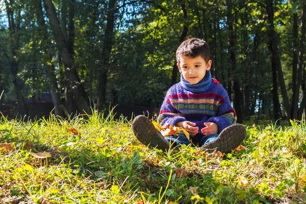Chlapec ve svetru, sedící na trávě — Stock fotografie