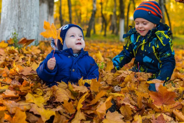 Dwóch braci chodzić w parku jesienią — Zdjęcie stockowe