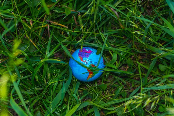 small globe in the grass