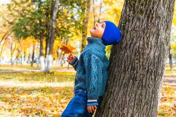 Мальчик в осеннем парке у дерева — стоковое фото