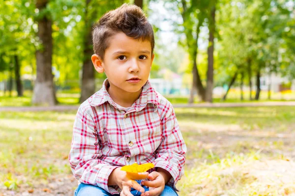 Boy with the yellow leaf sitting the Park — Stock Photo, Image