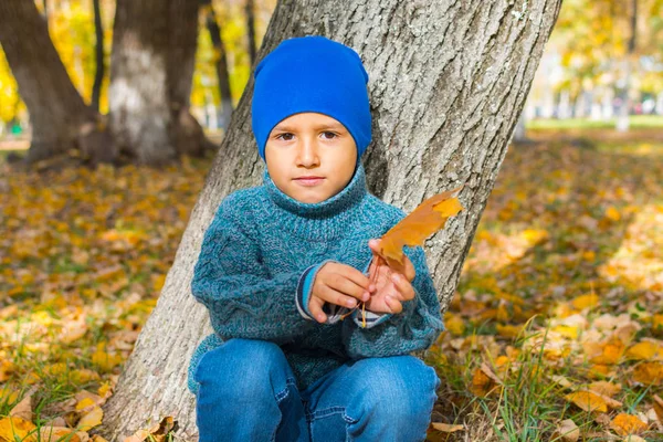 Niño cerca de un árbol con una hoja de arce —  Fotos de Stock