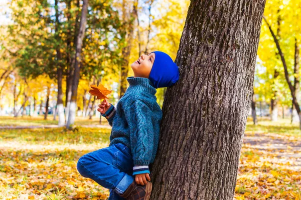 Niño en otoño Parque cerca de un árbol — Foto de Stock