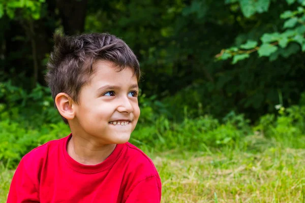 Веселый мальчик, сидящий на траве летом — стоковое фото