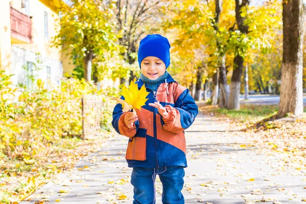 Мальчик держит кленовый лист для прогулки. мягкая осень . — стоковое фото