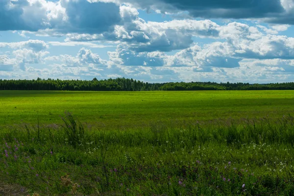 Ländliche Landschaft. Feld und Wolken im Sommer — Stockfoto