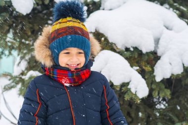 Gülümseyen çocuk karla kaplı ladin arka planında
