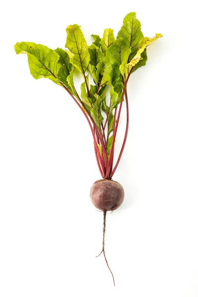 Fresh Beetroot White Background Topview Royalty Free Stock Images